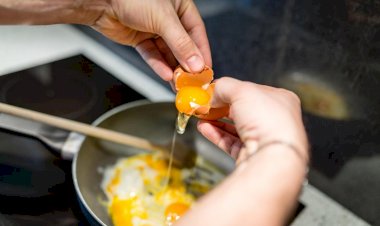 உடல் நலம்: முட்டையில் உள்ள கொழுப்பு ஆபத்தானதா - ஆய்வுகள் கூறுவதென்ன?