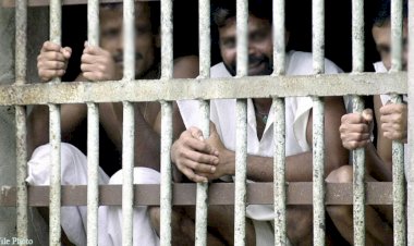 சந்தேகத்தின் பேரில் கைது செய்யப்பட்ட 63 பேர் தொடர்ந்து விளக்கமறியலில் - KinniyaNews